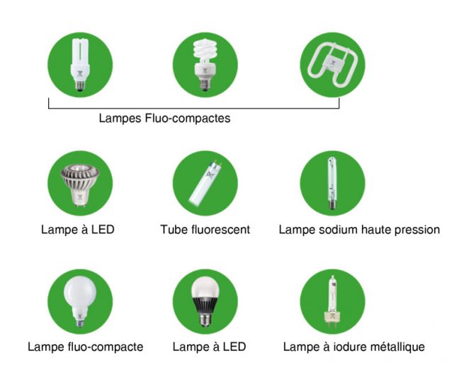 Recyclage des ampoules usagées - Haut Bugey Agglomération