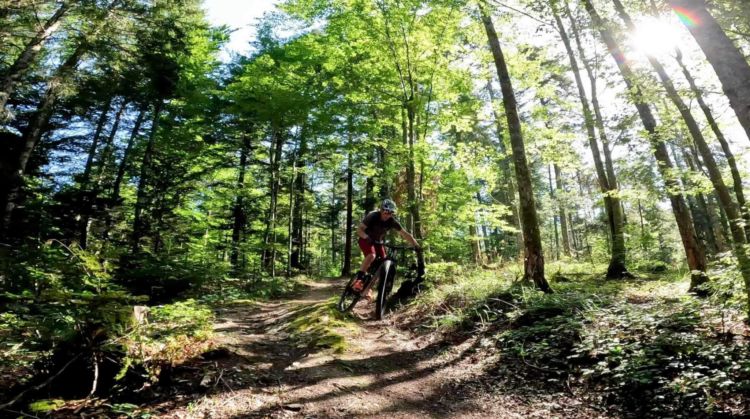 Navettes sur le Bike Park